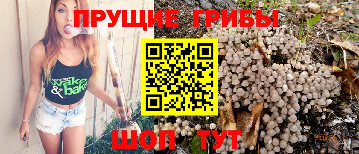 Галлюциногенные грибы ЛСД Первоуральск